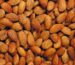 Malatya-Pazari-Almond-Roasted-Kernels-23-25